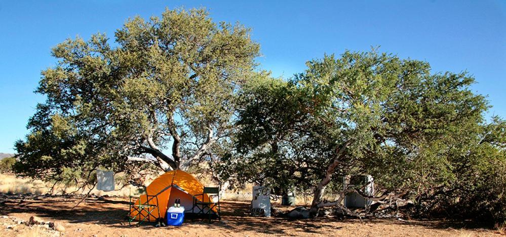 Namib Desert Campsite سوليتير المظهر الخارجي الصورة